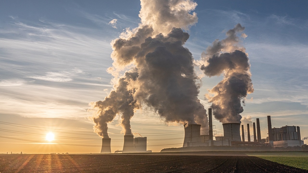 Impronta ecologica e impatto ambientale: come misurare il nostro ...